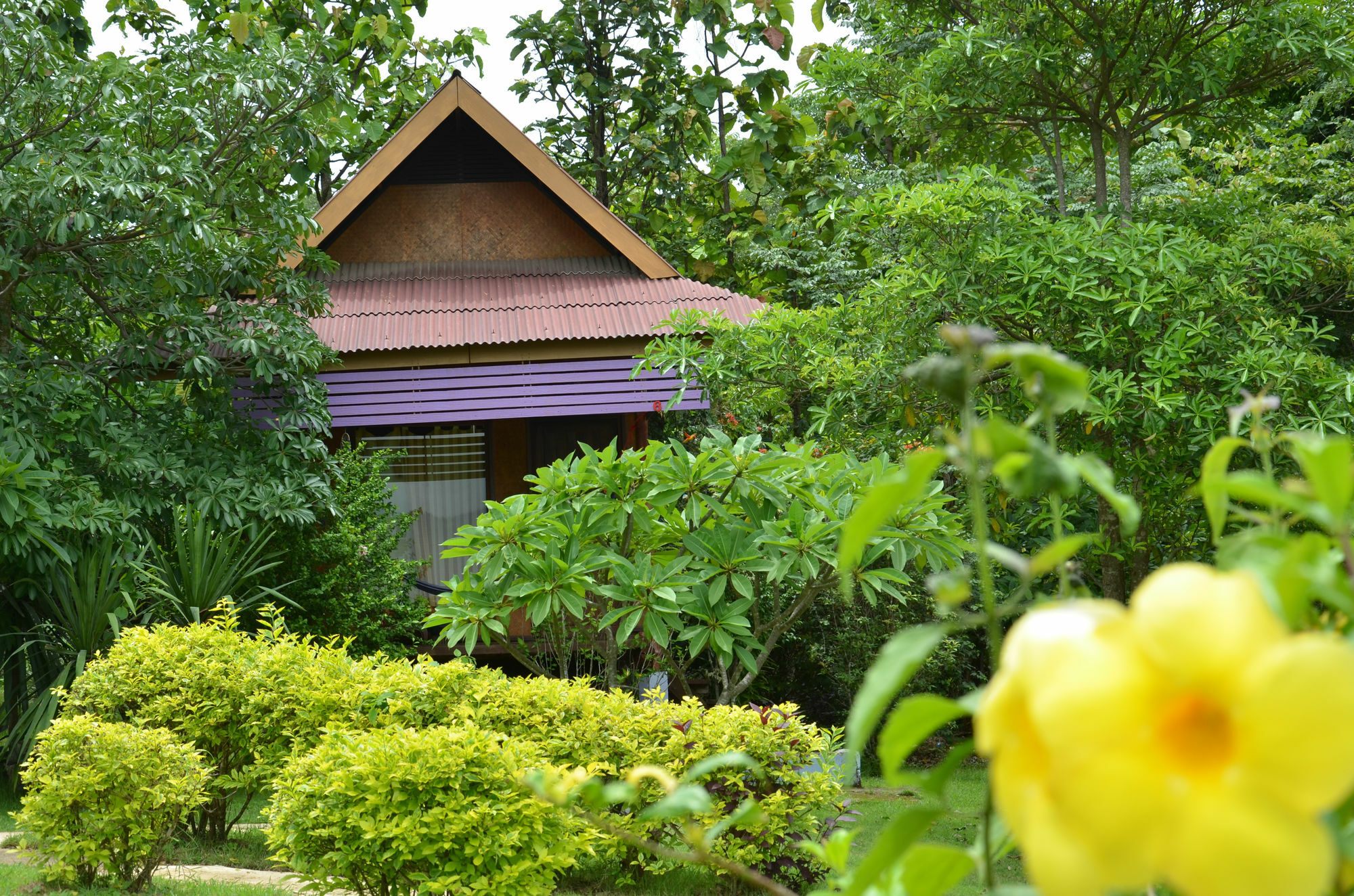 Romantic Time Mountain Resort Pai Ngoại thất bức ảnh